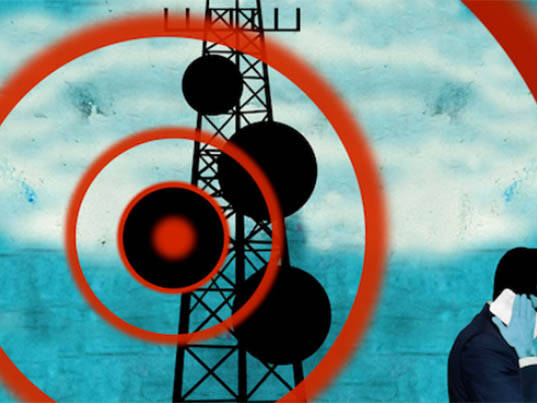 Conveys a serious concern about how 5G towers may harm the environment. Sets the mood and tone for the story.