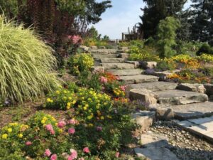 Picture of the Humber Arboretum 
