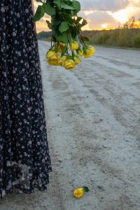 Flowers Falling on the ground.
