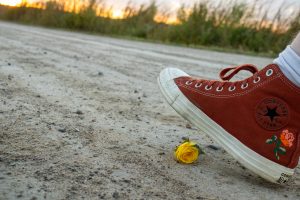 Someone accidentally walking over the fallen flower.